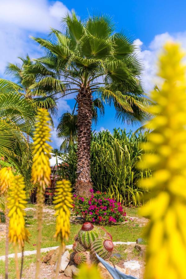Orient Bay Palm Court Residence 4 Stars Quarter of Orleans Екстер'єр фото
